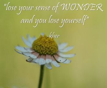the sense of wonder wise words