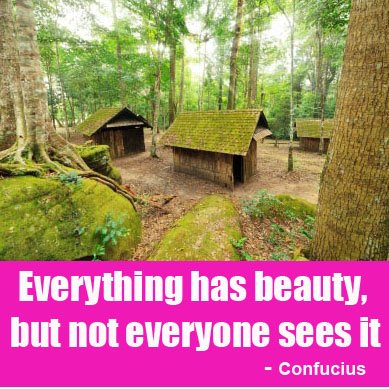 Everything has beauty, but not everyone sees it quote